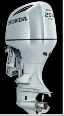 HONDA D.M. BF 250D XCRU - Honda