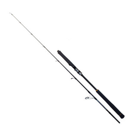 RYUJI SEAWOLF 1.80M 300-600GR 2P JIG KAMIŞ - 1