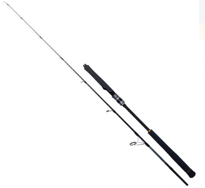 RYUJI SEAWOLF 1.98M 150-250GR 2P JIG KAMIŞ - 1