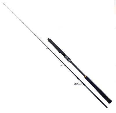 RYUJI SEAWOLF 1.80M 400-800GR 2P JIG KAMIŞ - Ryuji