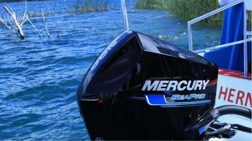 Mercury F 200 L / XL / CXL SeaPro DTS V6 Marşlı & Direksiyonlu & Trimli & Elektronik Gaz kolu Deniz Motoru - 1