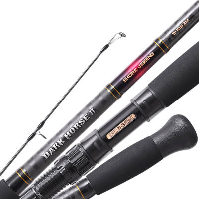 NS Black Hole Dark Horse II 290 Cm Max. 100 Gr Shore Jig Kamışı - 2