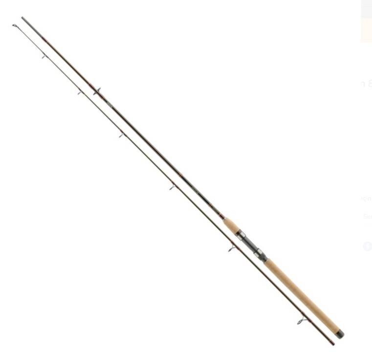 Daiwa Exceler Jigger 270 cm 8-35 gr 2 Parçalı Spin Olta Kamış - 1