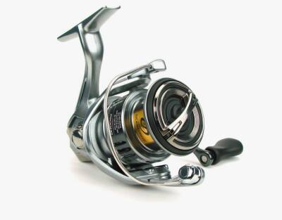 Shimano Nasci FC C2000S Spin Olta Makinesi - SHIMANO