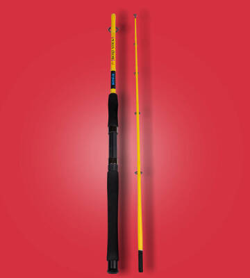 Boat Stick 150 cm 10-20 lbs 2 Parça Bot Kamışı - 